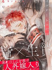 长夜灯下 全本小说封面